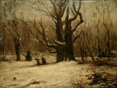 Winterlandschaft von Gustave Courbet